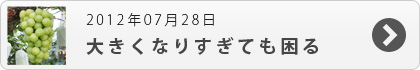 大きくなりすぎても困る