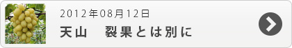 天山　裂果とは別に